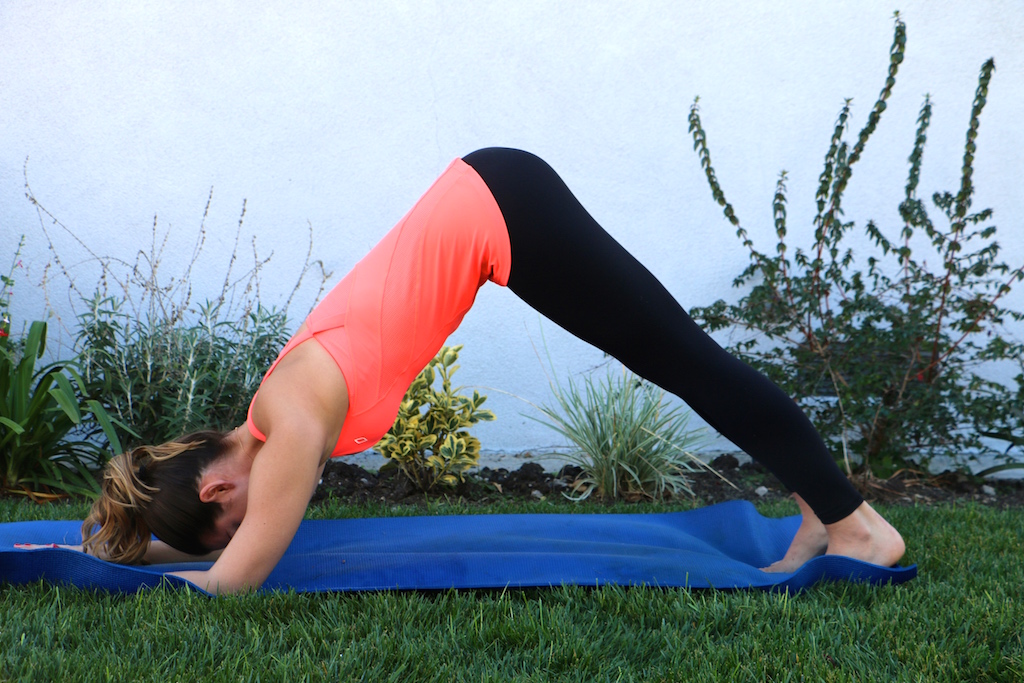 dolphin-pose-yoga-for-athletes