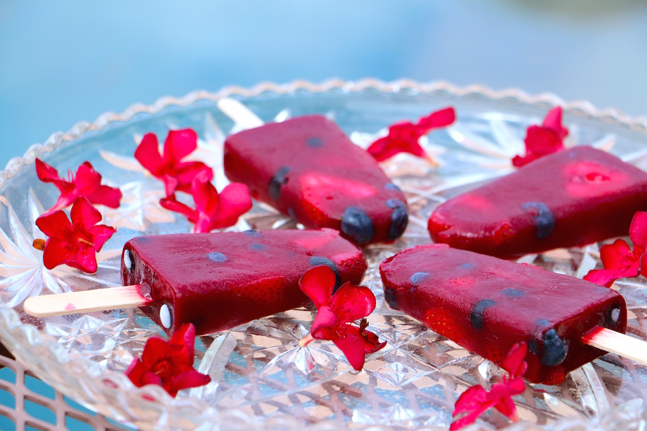 Healthy Homemade Fruit Popsicles Whitney E. RD