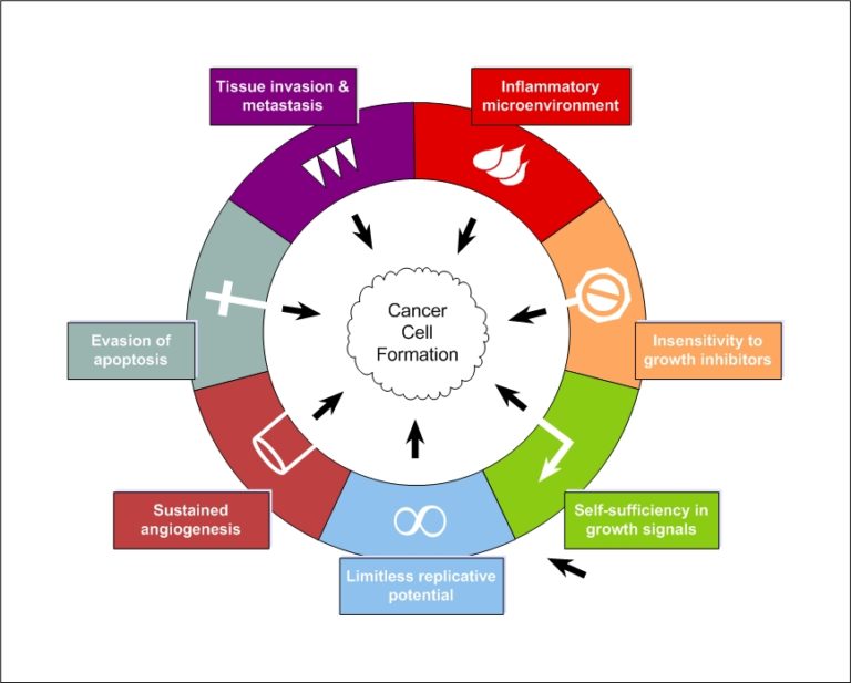 The Truth About Soy How Soy Prevents + Treats Cancer