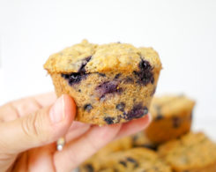 Vegan Blueberry Muffins Breakfast Recipe