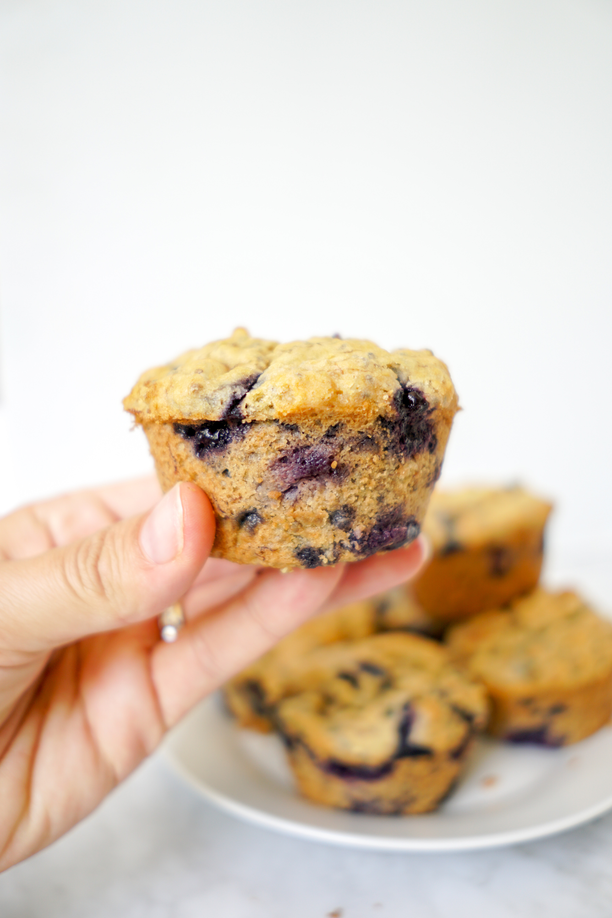 Vegan Blueberry Muffins Breakfast Recipe