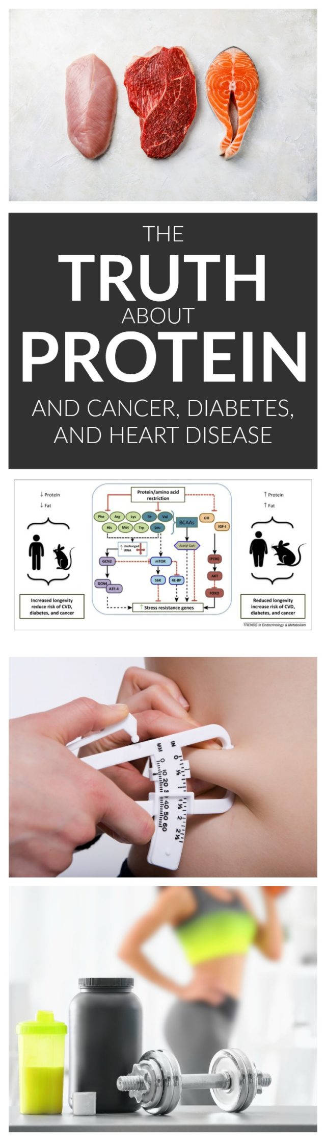 Does Eating Too Much Protein Cause Cancer? Whitney E. RD