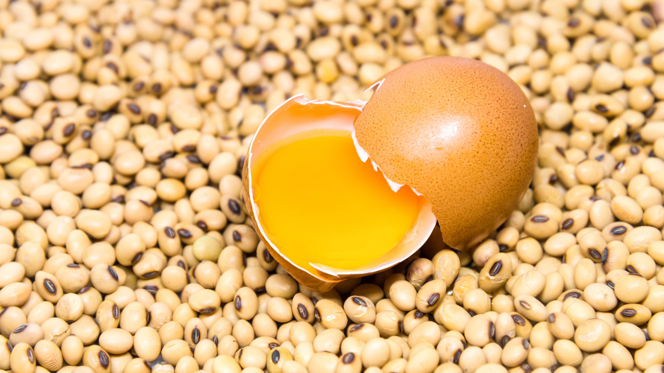 egg on soybeans